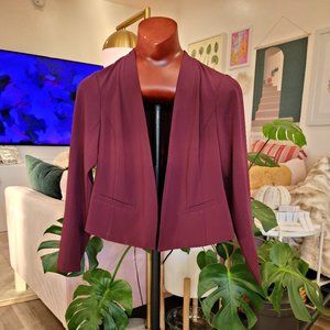 TORRID Purple Eggplant Blazer